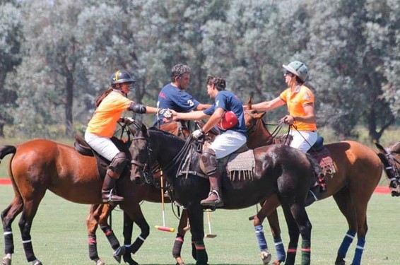 From Pato to Polo